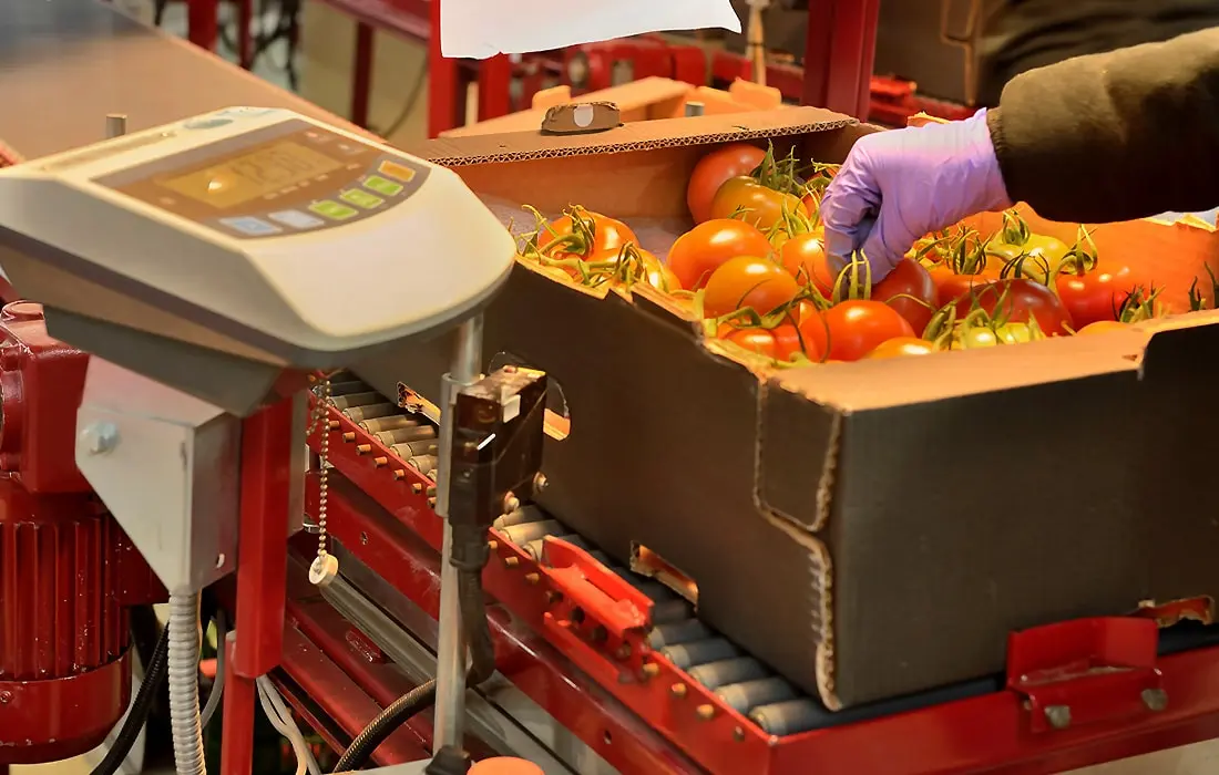 Τομάσης: Ζυγιστικά Εξαρτήματα - Πάτρα