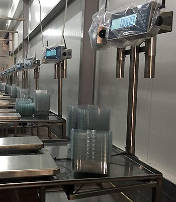 Διαχείριση & Συσκευασία Φρούτων - Τομάσης - Πάτρα