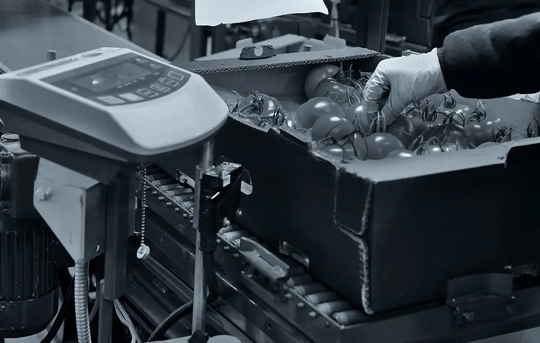 3.webp - Τομάσης - Πάτρα