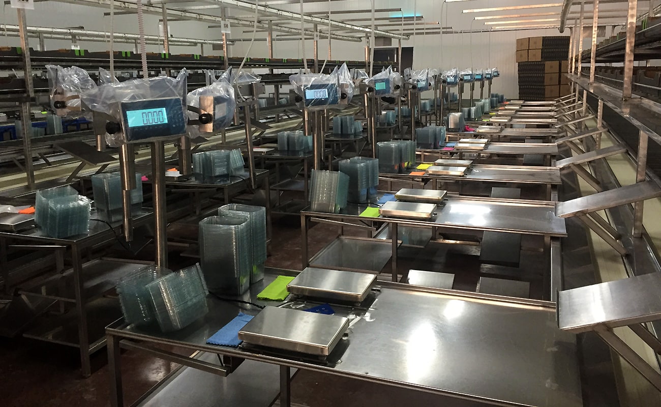 Αυτοματισμός διαχείρισης & συσκευασίας φρούτων - Τομάσης - Πάτρα