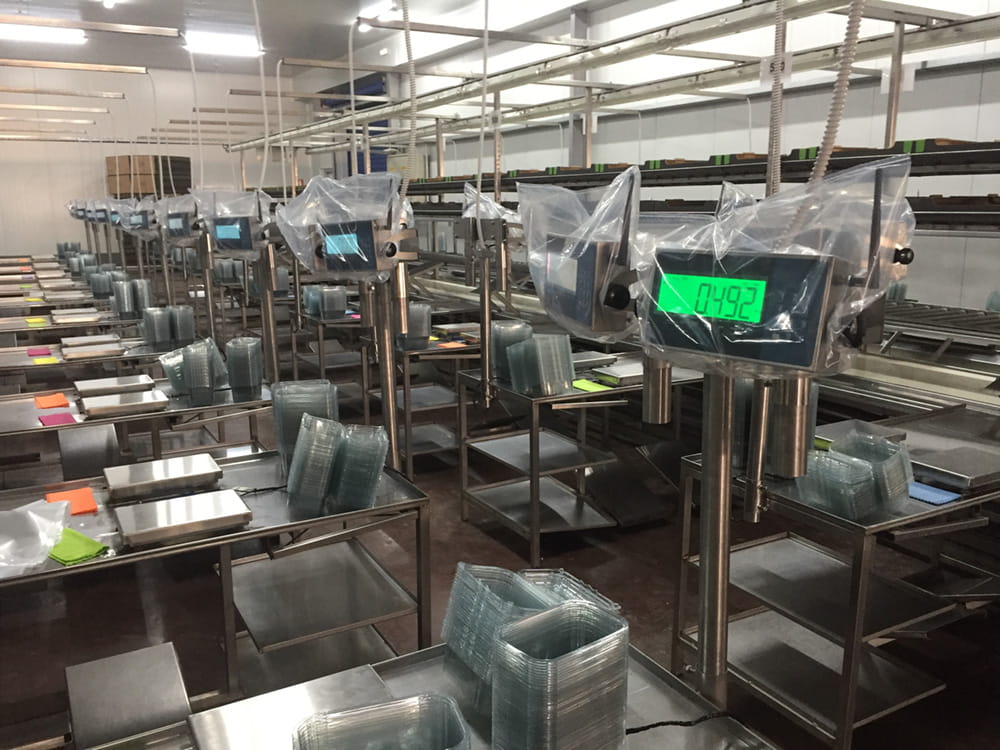 Διαχείριση & Συσκευασία Φρούτων - Τομάσης - Πάτρα