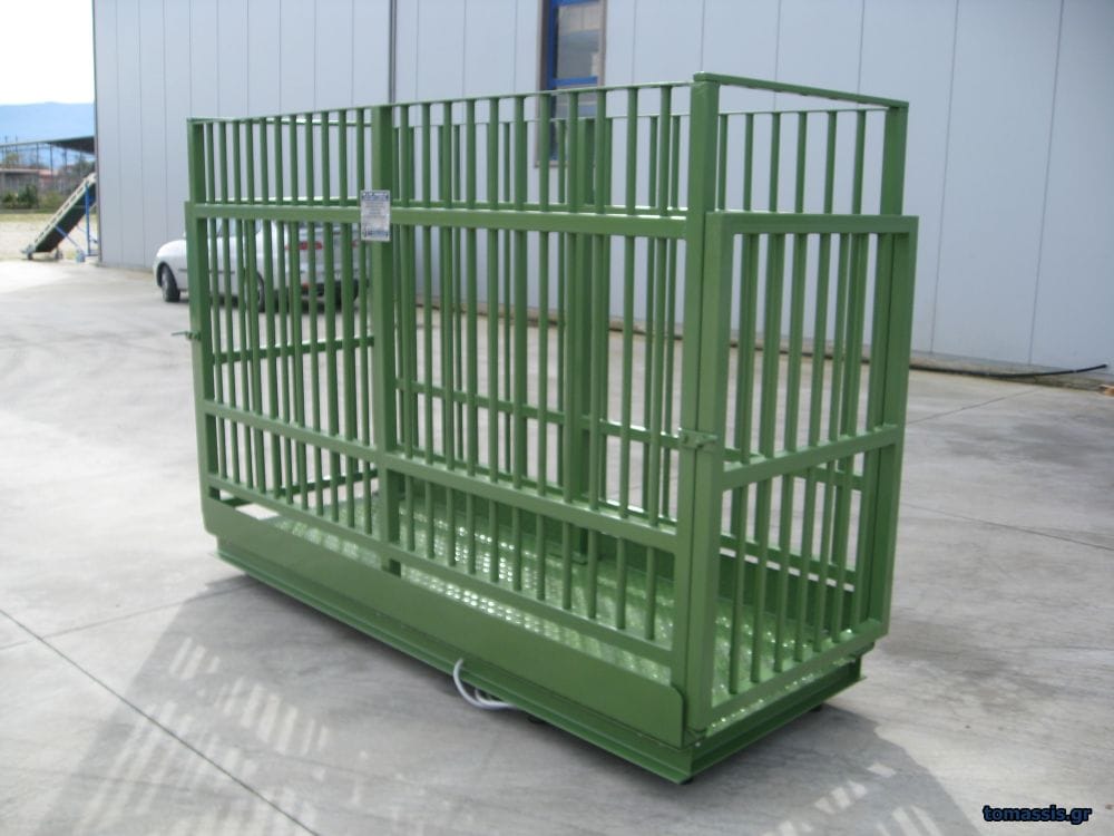 Zωοπλάστιγγα - Τομάσης - Πάτρα